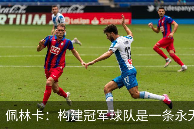 佩林卡：构建冠军球队是一条永无止境的旅程