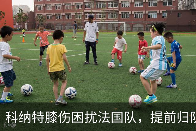 科纳特膝伤困扰法国队，提前归队令皇马忧心